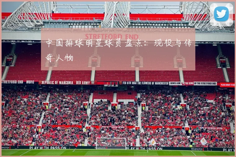 中国排球明星球员盘点:现役与传奇人物