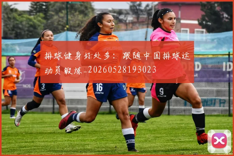 排球健身好处多:跟随中国排球运动员锻炼_20260528193023