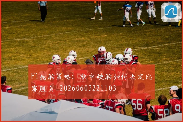 F1轮胎策略:软中硬胎如何决定比赛胜负_20260603221103